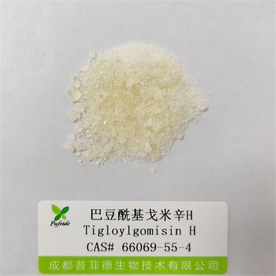 巴豆?；昝仔罤|66069-55-4